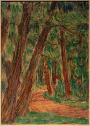 Forest Path